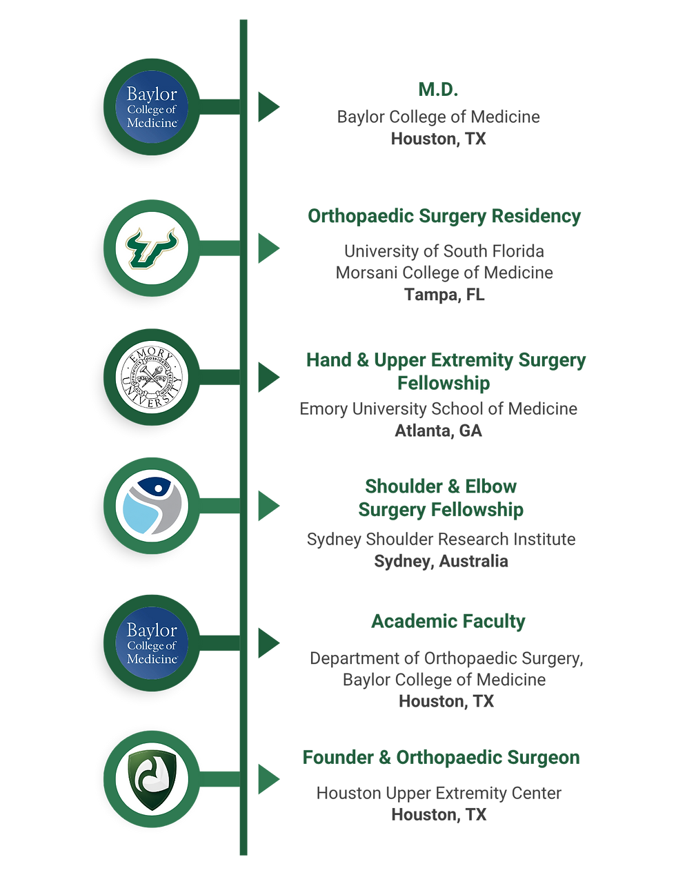 Adil Ahmed Timeline (1).png