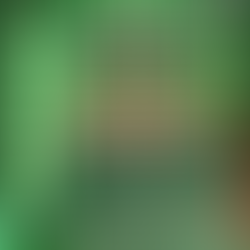 Lanzamos Nuestra Campaña de Abonados