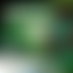 Partido jornada 10 VS Clavijo