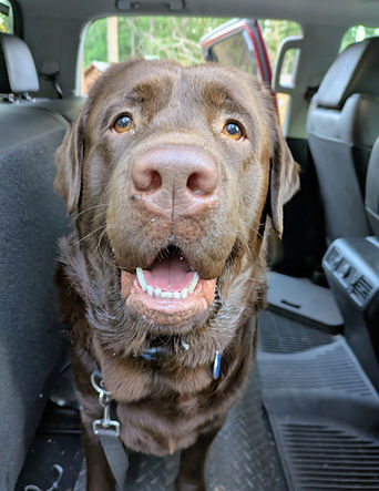 Ready to go on a Day Training Adventure