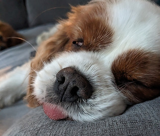 Tired from Training