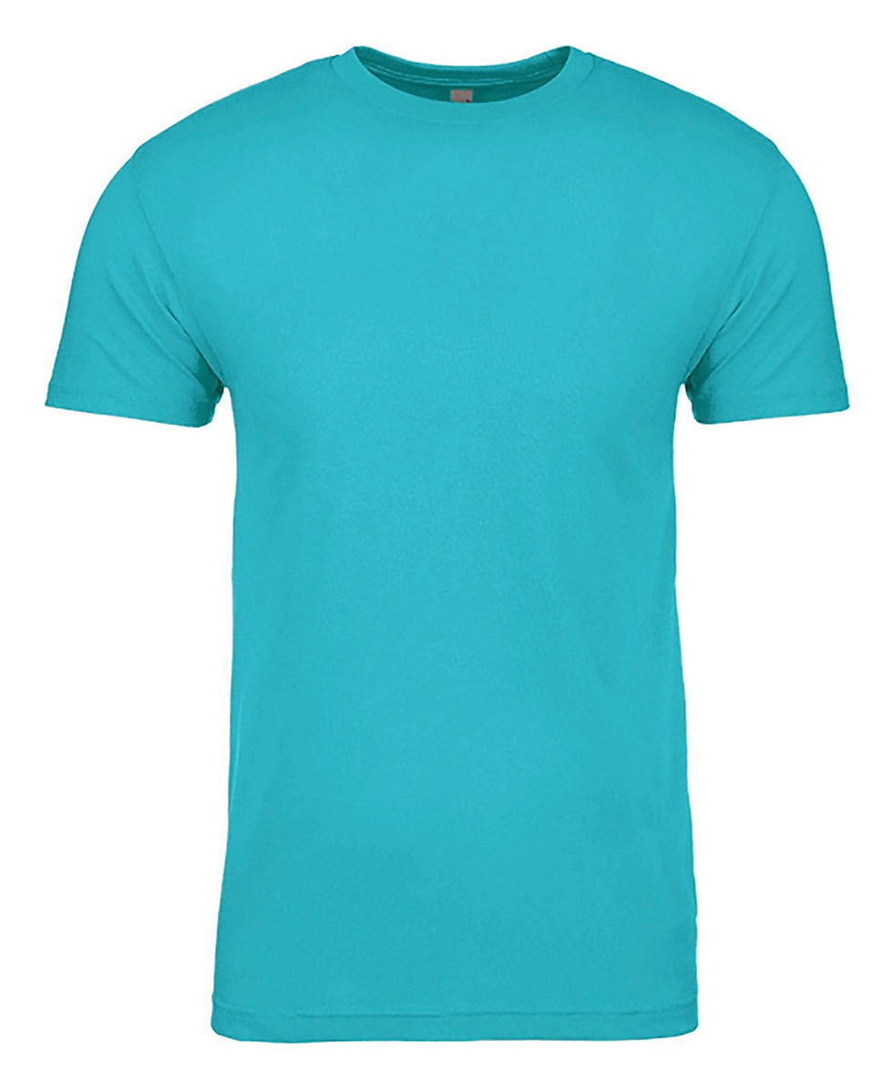 Thumbnail: TSHIRTS MEN NEXT LEVEL 3600