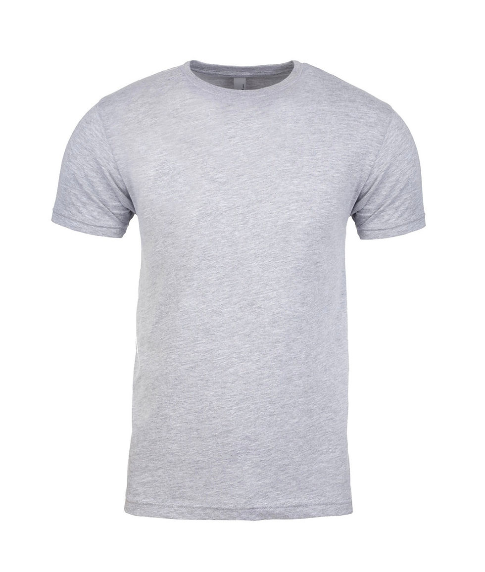 Thumbnail: TSHIRTS MEN NEXT LEVEL 3600