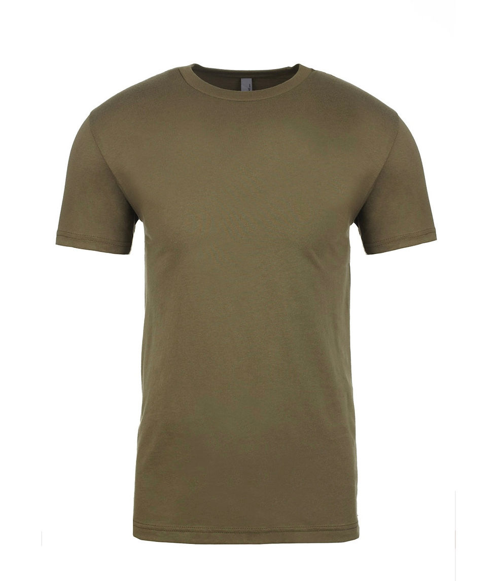 Thumbnail: TSHIRTS MEN NEXT LEVEL 3600