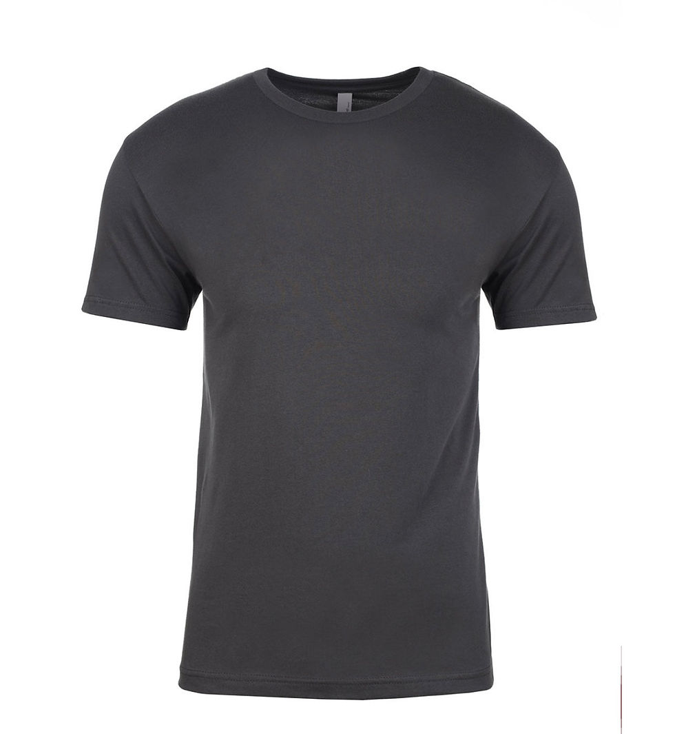 Thumbnail: TSHIRTS MEN NEXT LEVEL 3600