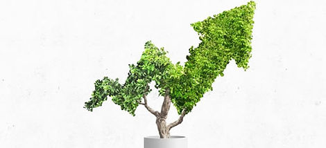 ISO 14016.jpg