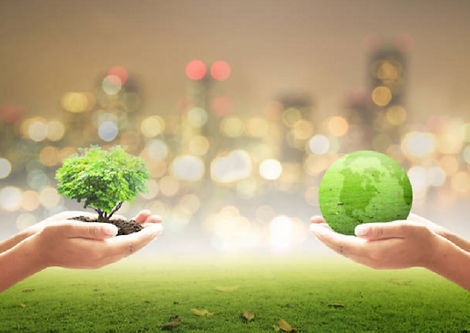 ISO 14005.jpg