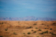 DDCR Dunes - 133.jpg
