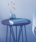 Furniture Rental