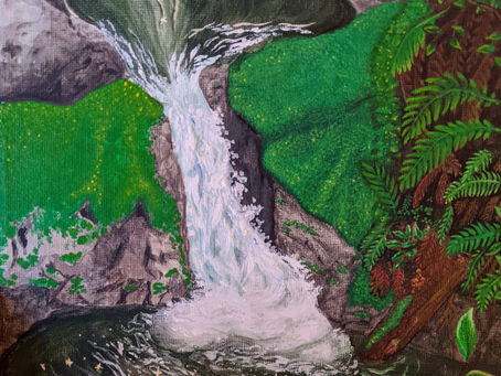 Immersed in Nature: My Personal Journey Chasing Waterfalls in the Pacific Northwest