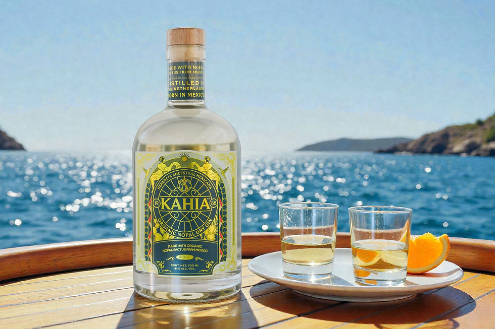 the cactus gin a taste of mexico.jpg