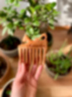 Cat Comb