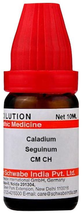 Thumbnail: Dr Willmar Schwabe India Caladium Seguinum