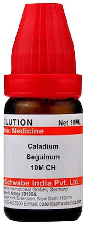 Thumbnail: Dr Willmar Schwabe India Caladium Seguinum