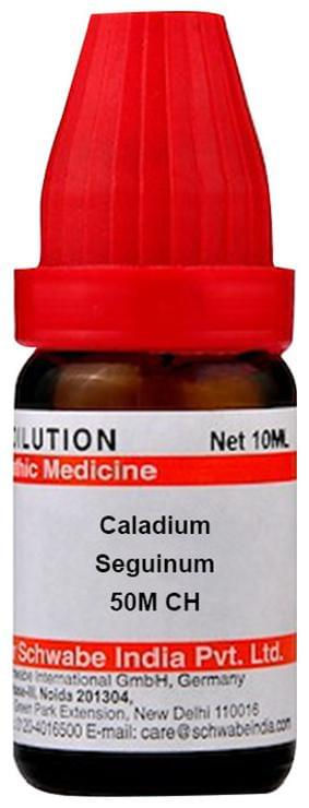Thumbnail: Dr Willmar Schwabe India Caladium Seguinum