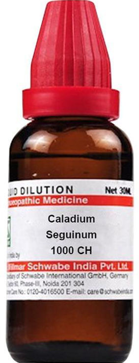 Thumbnail: Dr Willmar Schwabe India Caladium Seguinum