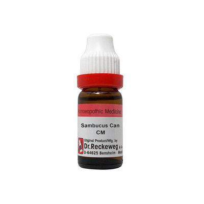 Thumbnail: Dr. Reckeweg Sambucus Can Dilution
