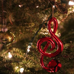 December 2022 Newsletter