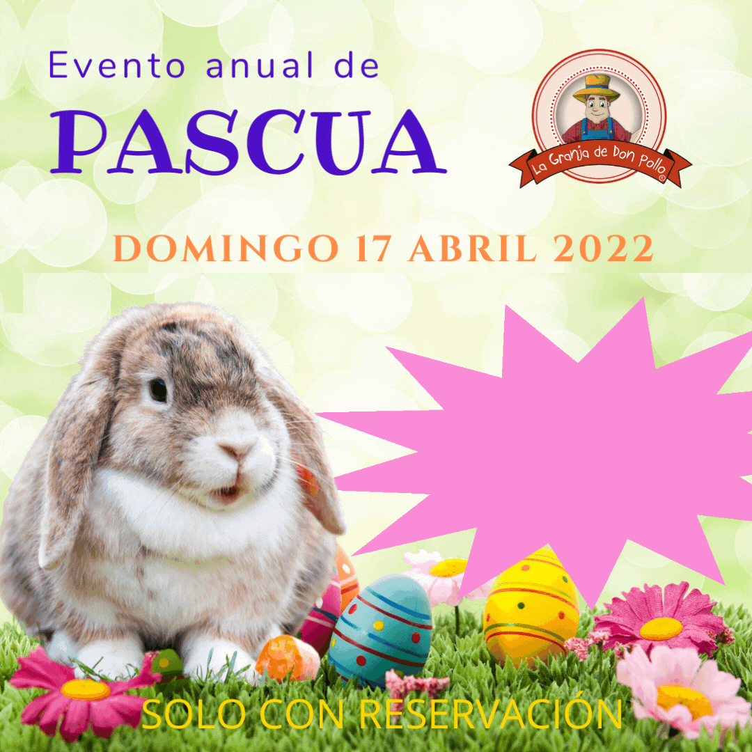 Domingo 17 abril EVENTO DE PASCUA