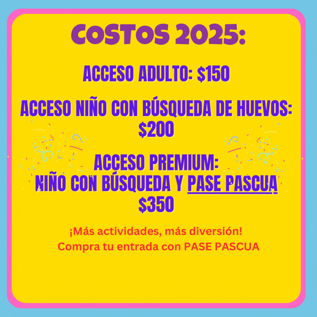 WIX PASCUA WEBSITE (2).gif