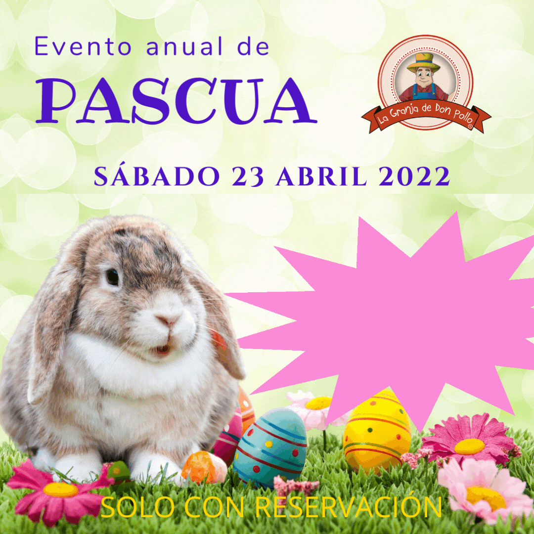 Sábado 23 abril EVENTO DE PASCUA