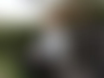 What therapy with me looks like