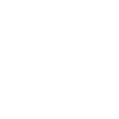 T3
