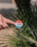 Election Reform/Voting