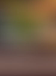 पार्टनर क्यों दूरी बना रहा है? ज्योतिषीय मार्गदर्शन से समझें