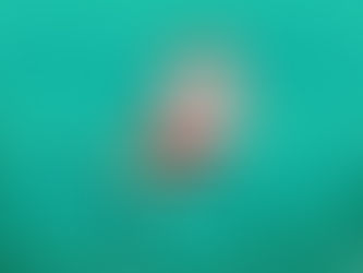 Pot de fin d’année vendredi 19 décembre 