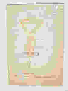 Рисунок Андрея Белого