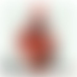 В направлении интегрального (мета)анархизма и холархизма