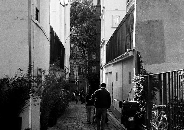 COMMON PLACES_2024
Madness.