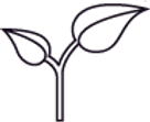 agro.webp