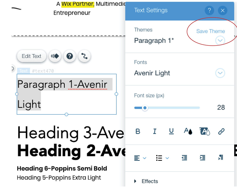 Save theme in text settings