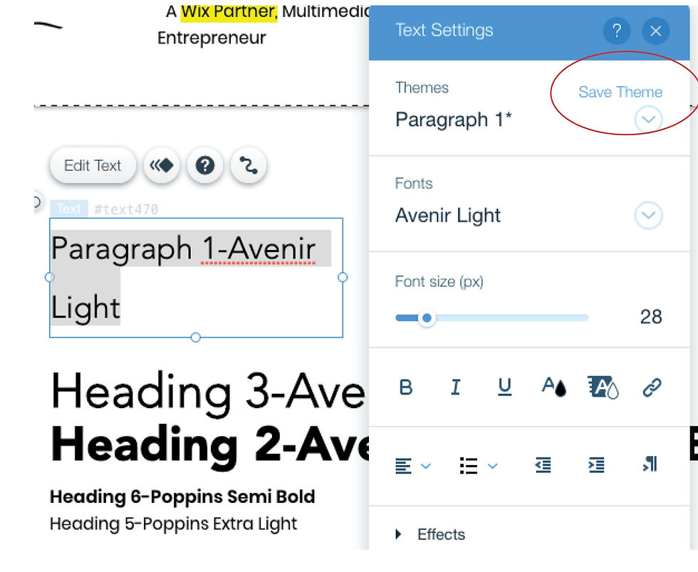 Save theme in text settings
