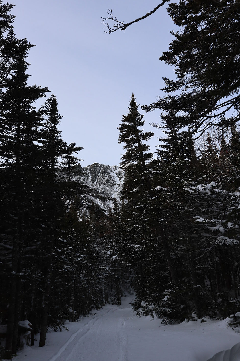 The ever-changing landscape