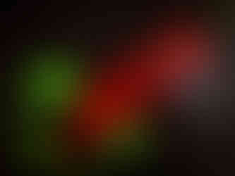 Mac's Club Deuce Anthony Bourdain No Reservations South Florida