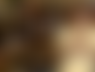 Miami Beach Visual Memoir