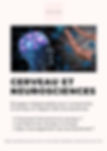 E-book Cerveau et Neurosciences