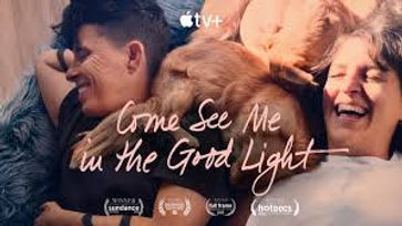 come see me in the light.jpg