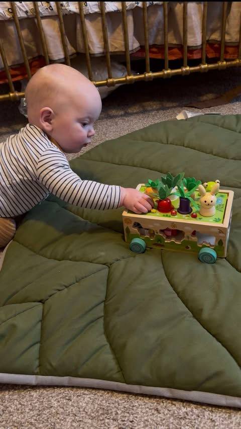 Raising My Firstborn With Values: Mindfulness for Parents at Swade On Clover