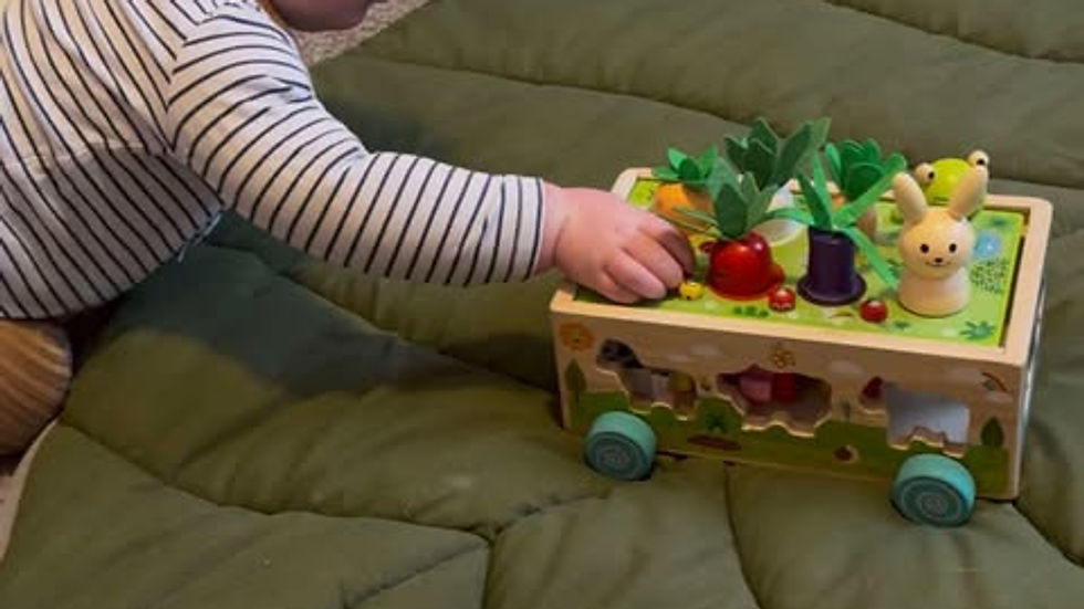 Swade, A child playing with a wooden Montessori farm toy available on amazon! vegtable garden & farm animals nestled into a contained box on wheels. feel mindful with this parenting choice.