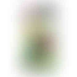 Pokemon Paradigm Trigger Booster Pack - S12