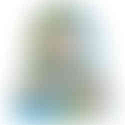 Pokemon Paradise Dragona Booster Box -  SV7a