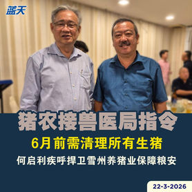 猪农接兽医局指令,6月前需清理所有生猪,何启利疾呼捍卫雪州养猪业保障粮安