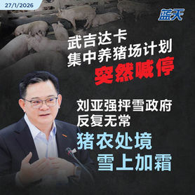 武吉达卡集中养猪场计划突然喊停，刘亚强抨雪政府反复无常，猪农处境雪上加霜