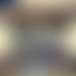 拉曼技职与印企业家协会签备忘录、马华经委与印中华商会交流:马华政商代表团收获丰硕