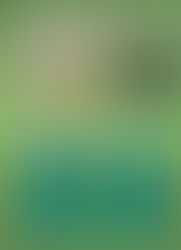 355法令修订案:问与答