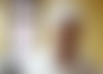 从非法炭窑厂看槟政府的“以民为本”